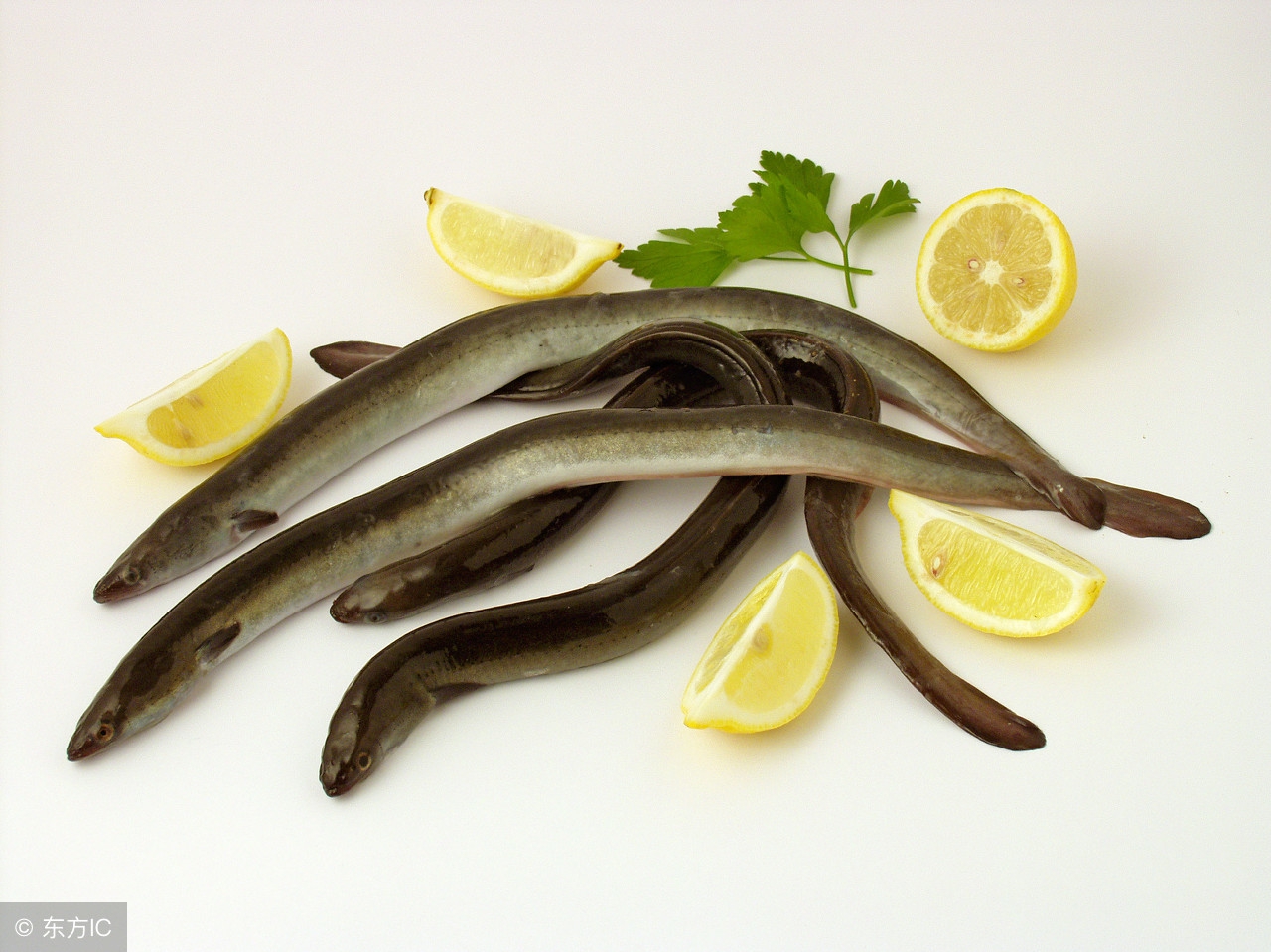 除心火的食物,除湿热的食物水果蔬菜