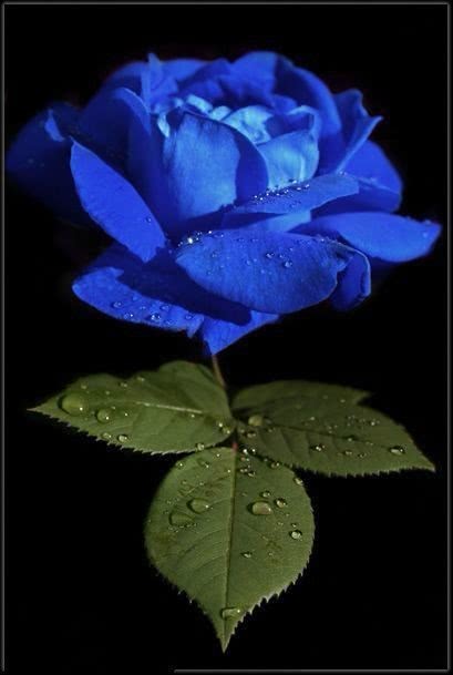 你的七夕德芙可能是假的情人节消费还需警惕哪些坑？