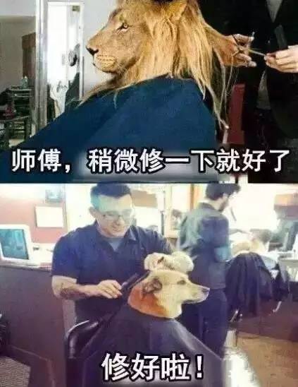 笑笑笑死我了,笑笑笑死人