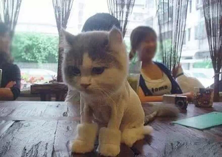 笑笑笑死我了,笑笑笑死人