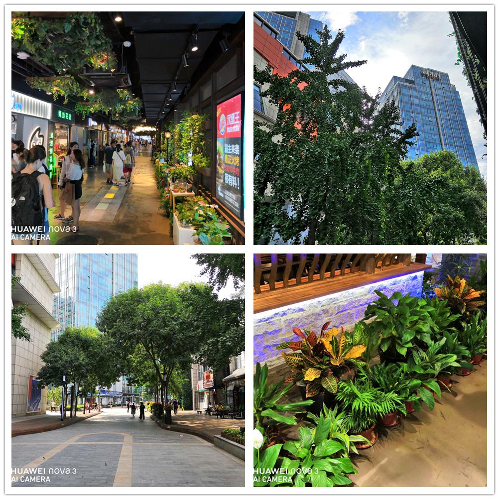 华为nova3全面介绍,华为nova3详细测评