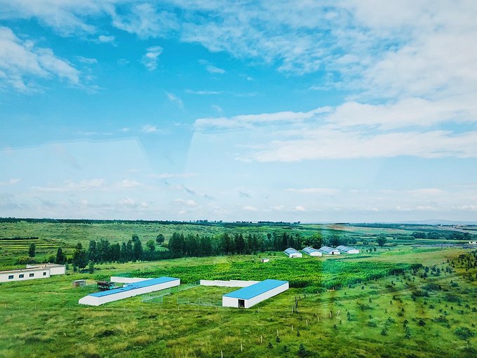 分享I鄂尔多斯少年那达慕，意义非凡的一场研学之旅