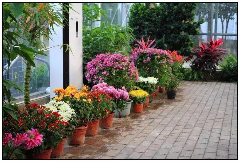 再见合肥师范完整视频,合肥二中校园