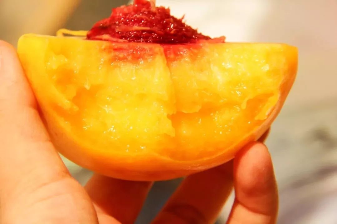 脆甜多汁的黄桃马上进入采摘季,锦绣黄桃罐头