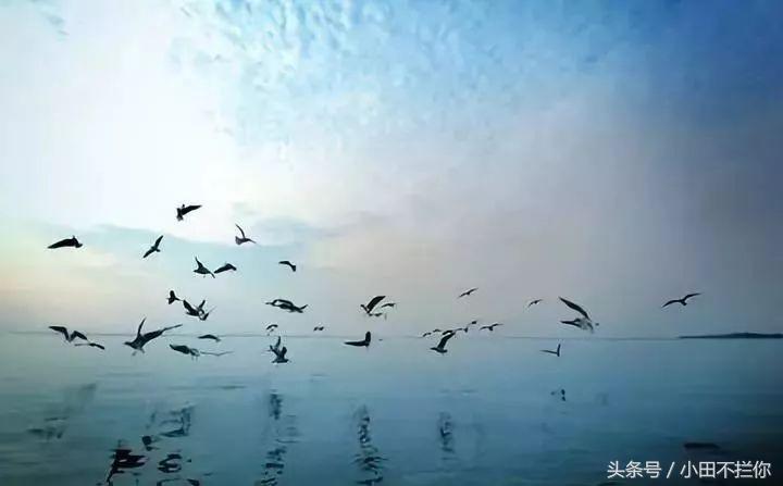 我在意大利的日子,我在意大利完整版