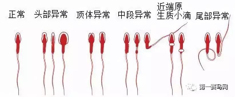 七夕到了单身狗有话要说,七夕快到了单身狗心底的呼唤