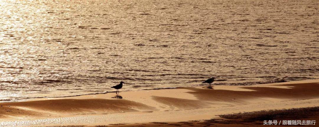 乐亭虹宇国旅月坨岛水上小木屋,月坨岛小木屋景色