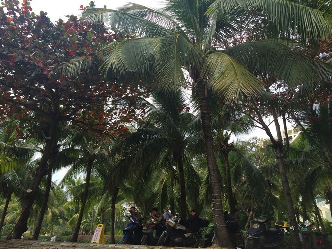 和妈妈第一次一起旅游,三亚潜水旅行攻略