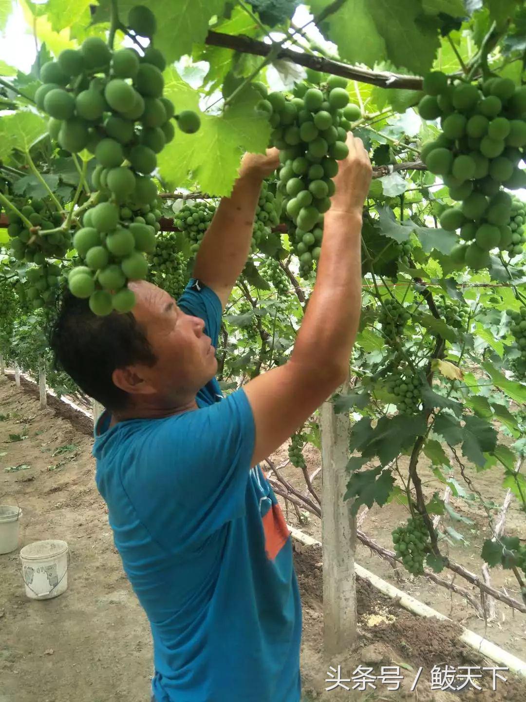 营口发布四个“十大名单”!鲅鱼圈这些人的上榜原因很感人