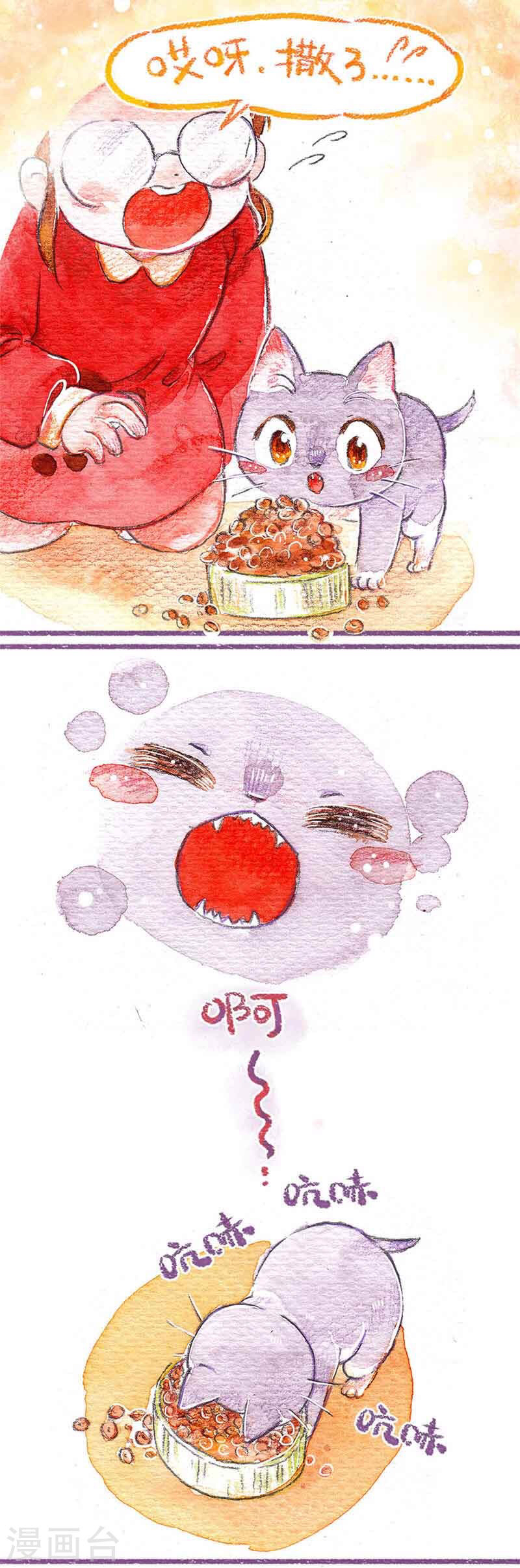 猫主子和他的铲屎官漫画,猫咪都是铲屎君漫画完整版