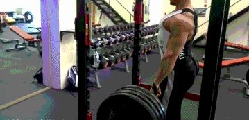 怎么练习背和腰力,如何强化腰背肌力量