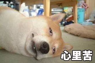 干洗店的心酸,洗衣店值得做吗