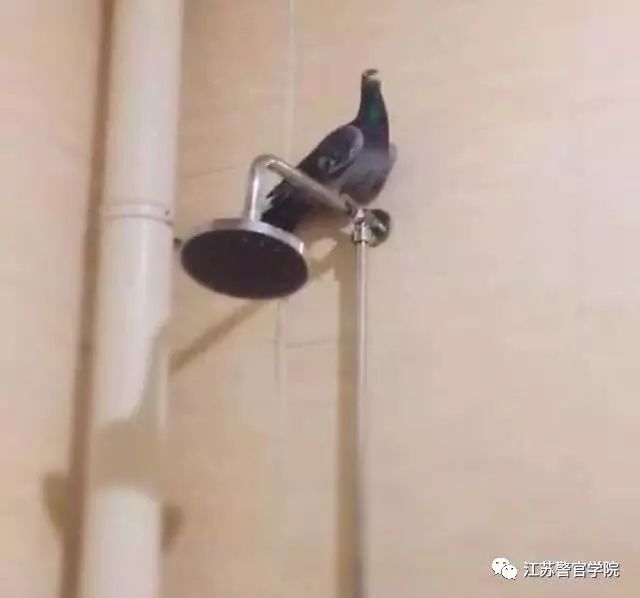 高中新生入学宿舍安排流程,2020级新生入学报到