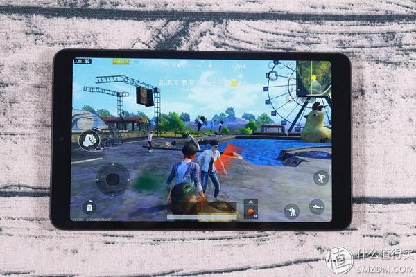 骁龙660和小米平板4,小米平板4骁龙660吃鸡画质