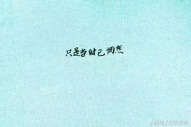 心灵鸡汤语录人生感悟励志短句,心灵鸡汤励志人生感悟语录简短