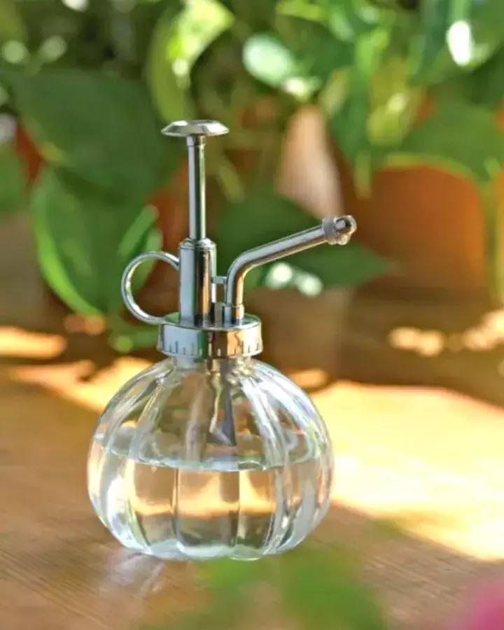 如何防止盆底烂根发生,十种不烂根的盆底垫