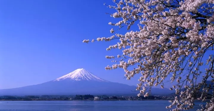 土耳其货币崩盘买什么,土耳其币贬值