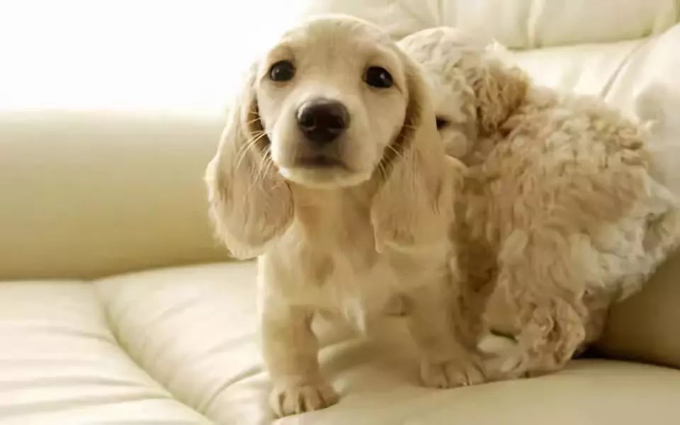 家里潮湿有异味怎么解决,家里有异味潮湿怎么办