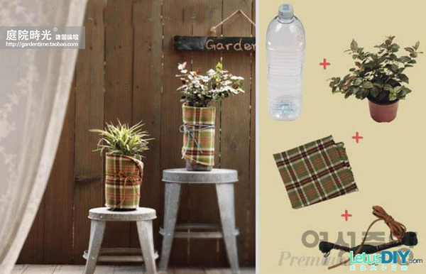 变废为宝自制栽培绿植器皿,塑料瓶创意绿植盆栽旧物利用