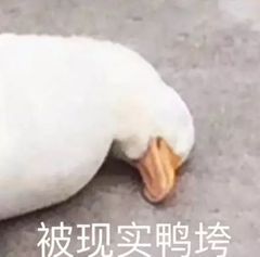 政府定了！广州要为100万人提升学历！最后三天，满足此条件学费全免！