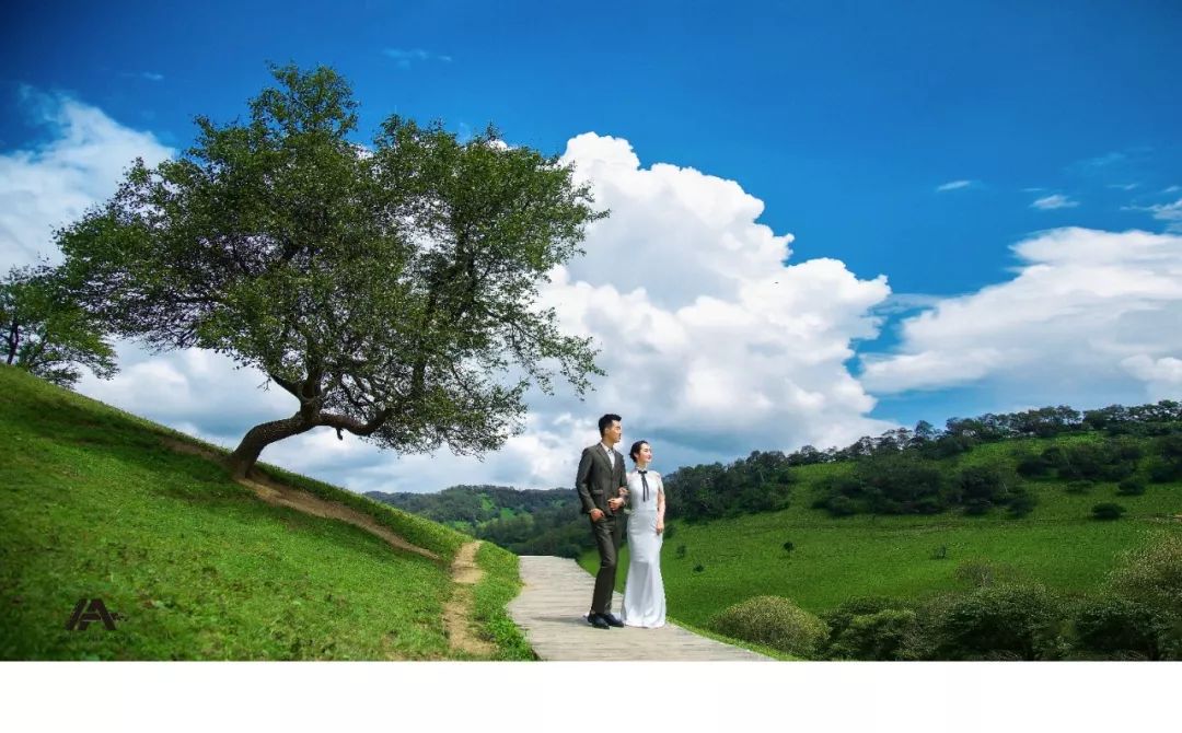 草原婚纱图片,草原婚纱视频