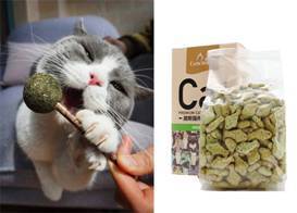 猫咪零食大全推荐,猫咪最喜欢吃什么零食