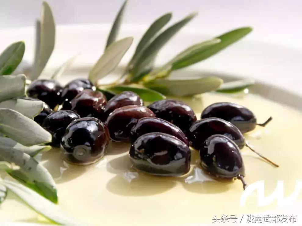 黄金极致养护橄榄油功效,液体黄金橄榄油的101种用法