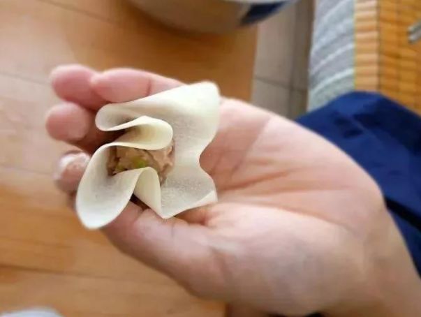 十种最漂亮的云吞包法,云吞包法视频12种包法