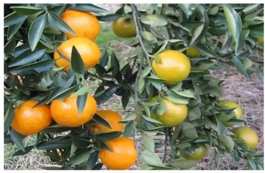 定制七夕礼物送老婆,定制七夕礼物送男友