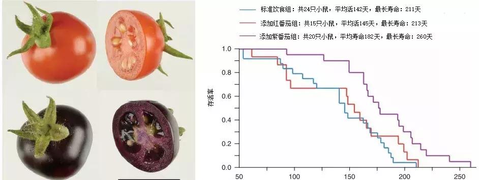 定制七夕礼物送老婆,定制七夕礼物送男友