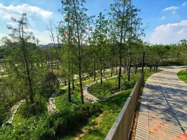 上海这三座公园将向市民免费开放,上海公共景观