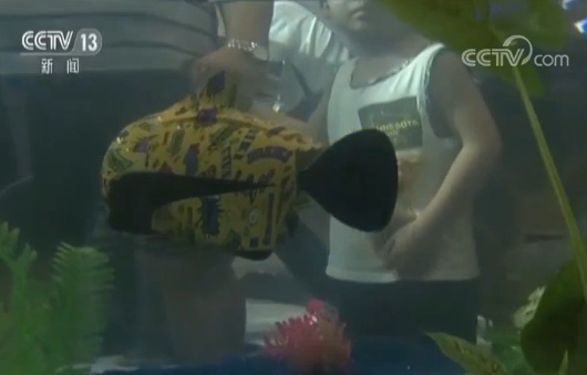 世界机器人大会青少年机器人,会说话会踢球的智能机器人