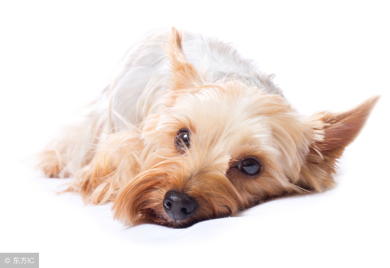 京东新店推广引流方法,京东新店如何打开销量