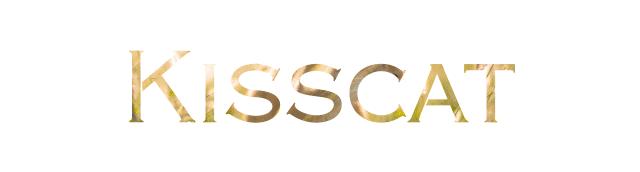 传统女鞋品牌如何转型升级？专访鞋履品牌KISSCAT王海涛总经理