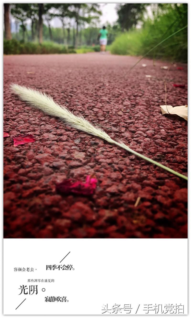 七夕节适合表白的数字浪漫,七夕送玫瑰花卡片写什么情话