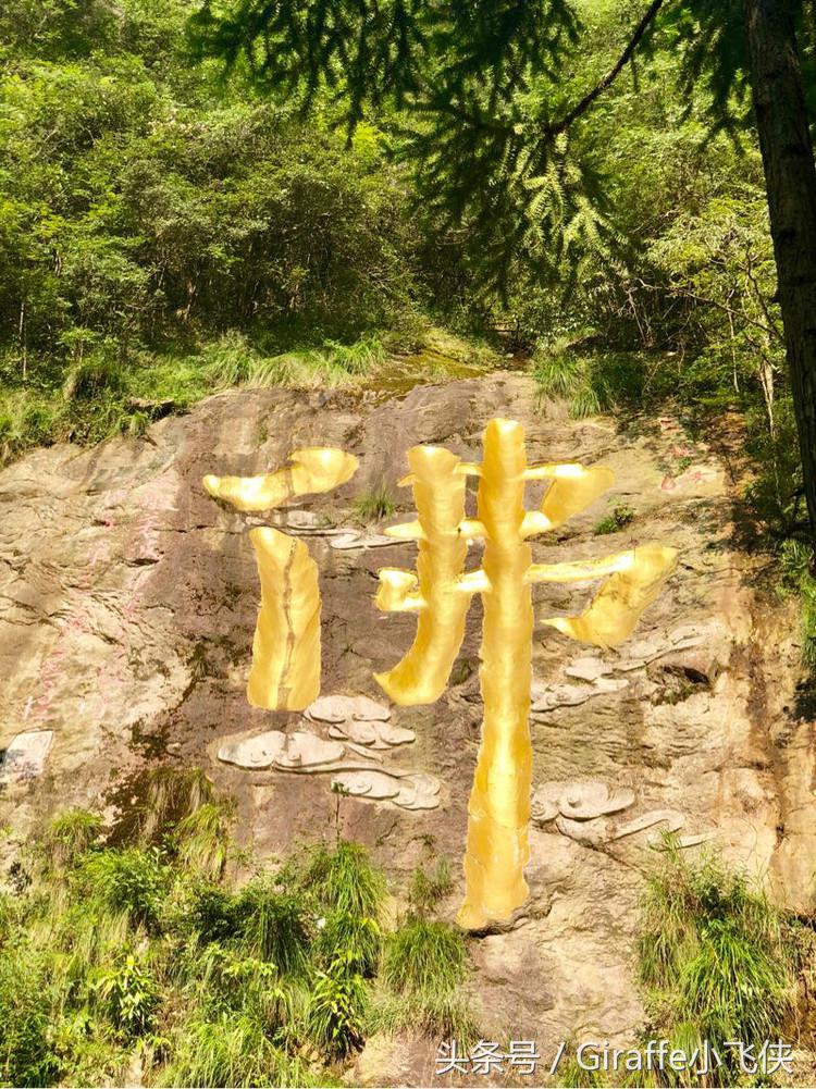 浙西深山里的小众秘境,隐匿在浙西大山里的绝美去处