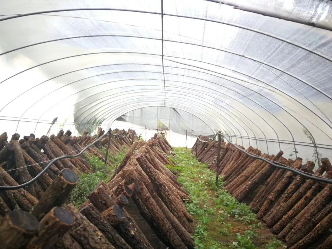 广元旺苍这家超市建成啦，以“德”换物不要钱！