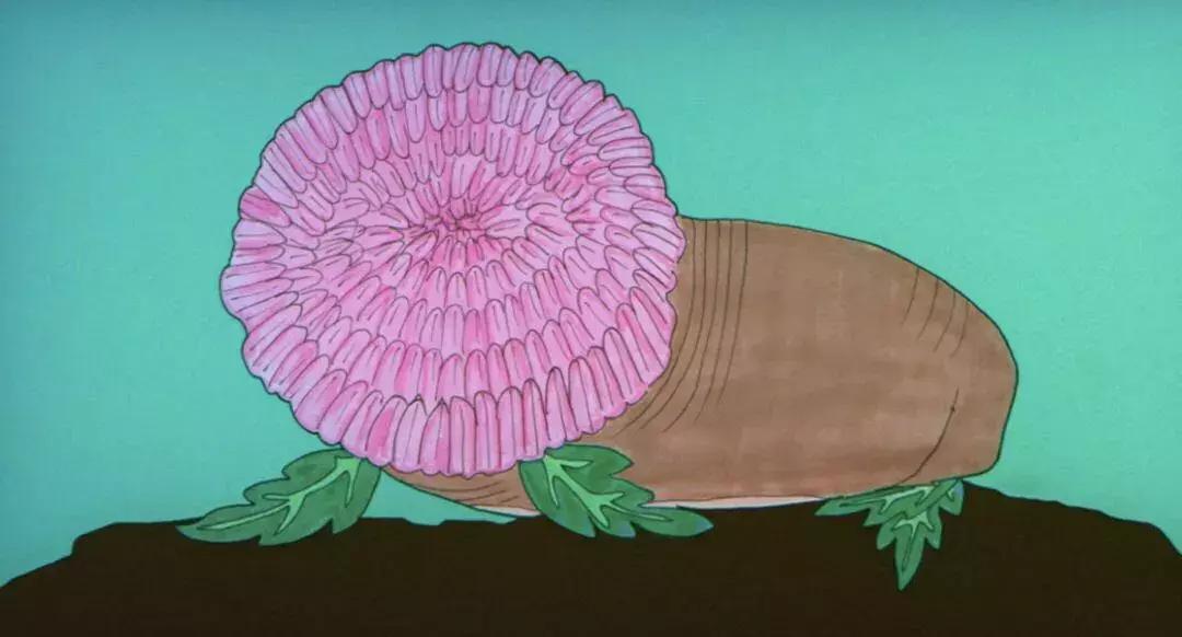 吐槽：男人都是大猪蹄子！