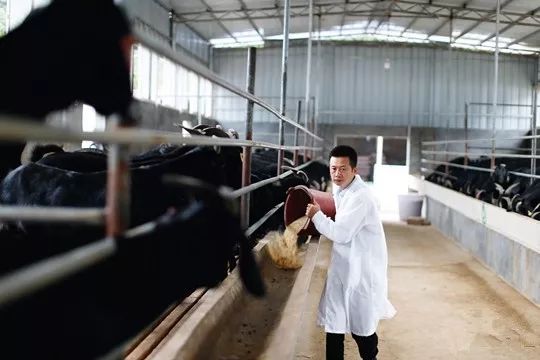 玉林脱贫攻坚先进个人,全国脱贫攻坚先进个人评选通知