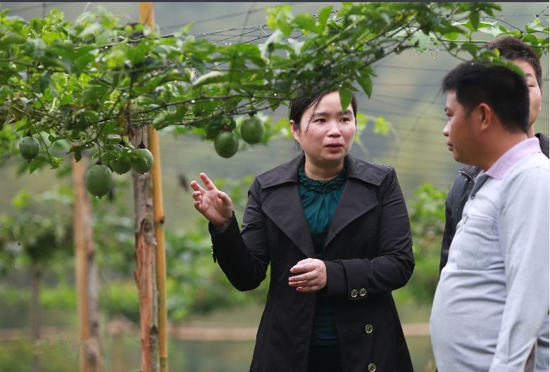 玉林脱贫攻坚先进个人,全国脱贫攻坚先进个人评选通知