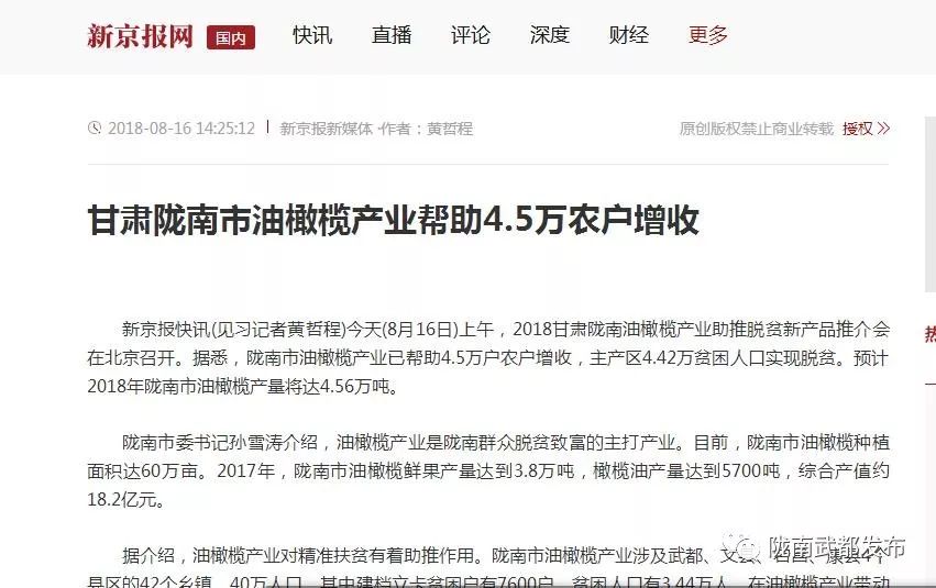 陇南武都橄榄产业发展,陇南油橄榄产业