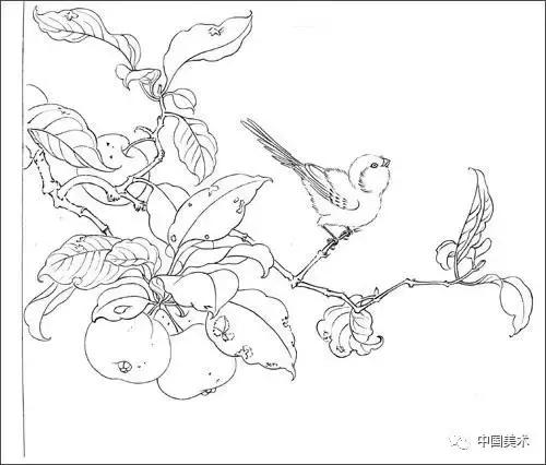 花鸟画麻雀的画法,花鸟人物画画技巧