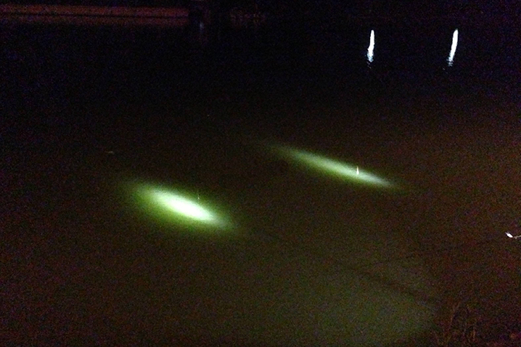 夏季钓鱼避免小鱼闹窝,钓鱼避免小鱼闹窝的4个方法