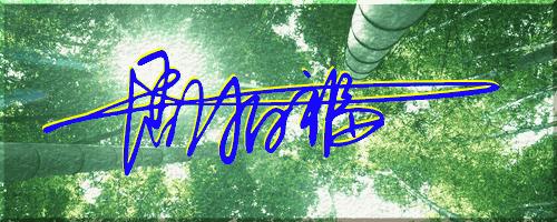 051期：目前已经制作了一千三百多个姓名大家找一下