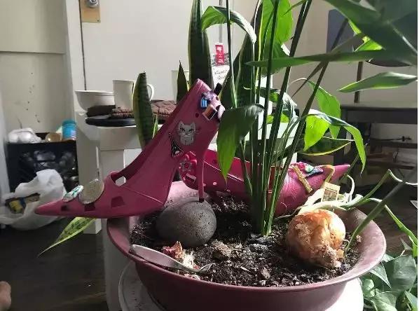 洞洞鞋为什么下架,过气网红洞洞鞋