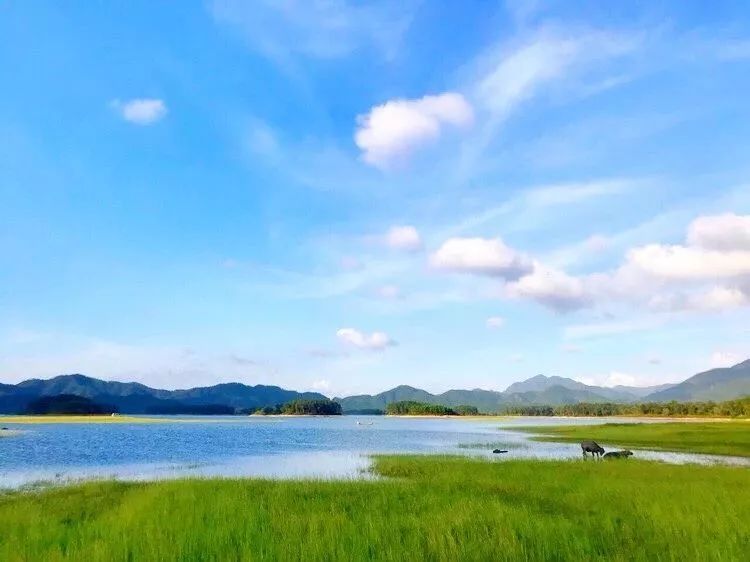 珠海高铁就能到的小县城，藏着圣托里尼的浪漫，济州岛的清新！