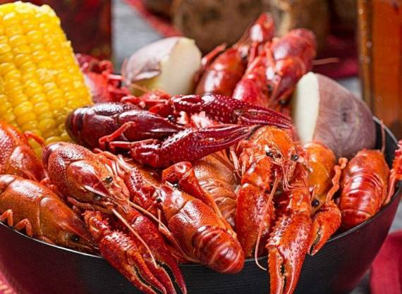 适合农村小型养殖的致富项目,适合农民的致富项目