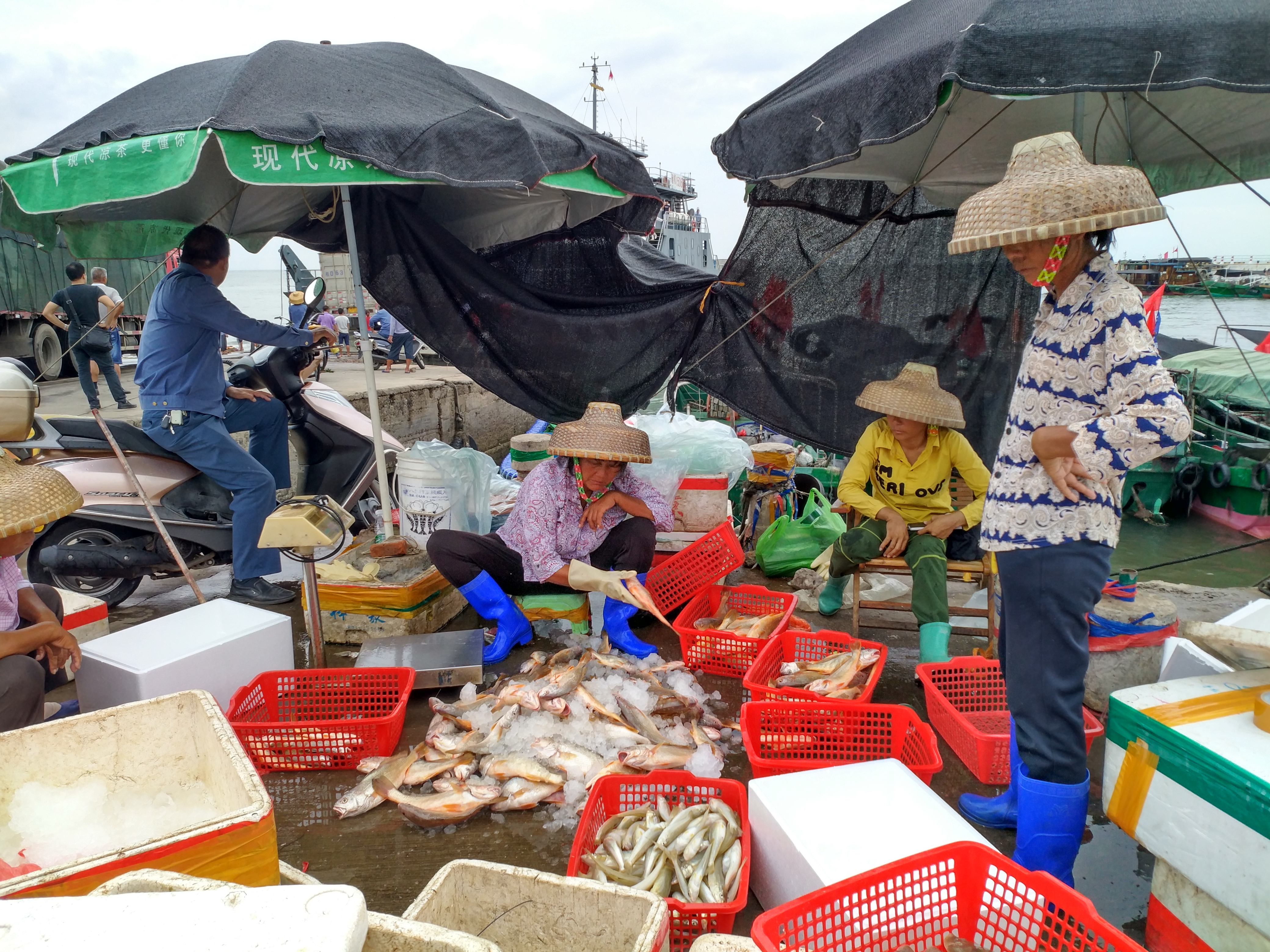 湛江轮渡旅游,湛江金沙湾5元轮渡