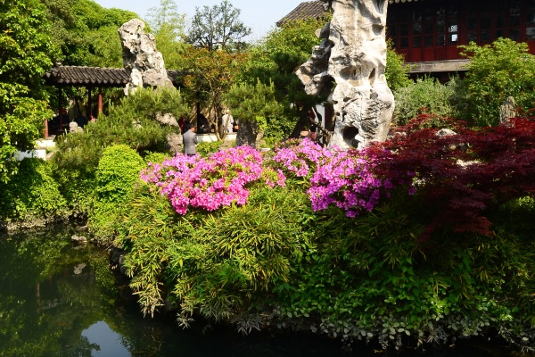 苏州吴中区横泾美丽的乡村风景,苏州自驾游厦门鼓浪屿沿途风景