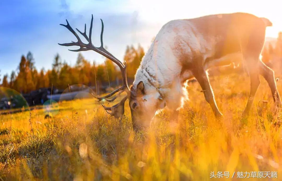 一座去了不想走的城市成都,一座去了还想去的城